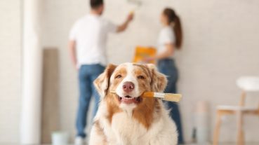 Ezeken a településeken lehet majd elérhető az otthonfelújítási támogatás?