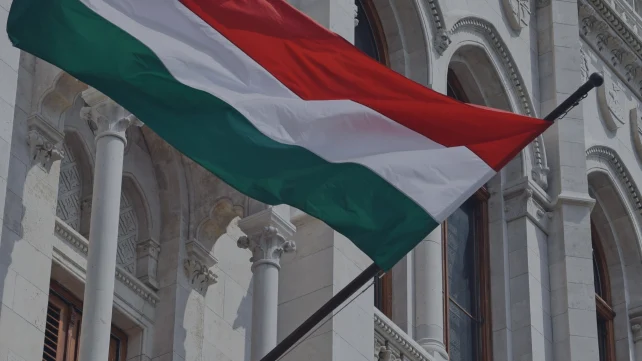 Közszolgáltatók és közüzemi szereplők